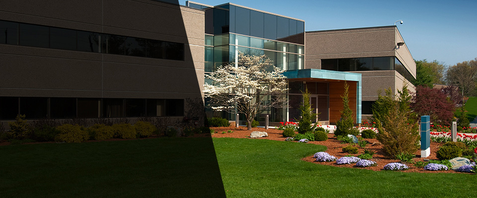 House Springs Landscapers